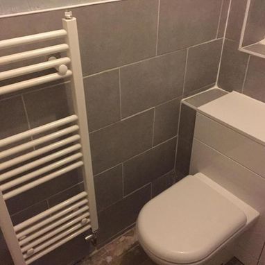 Toilet and radiator